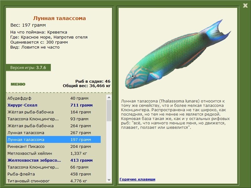 турниры • РУССКАЯ РЫБАЛКА