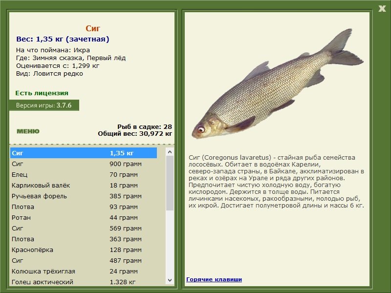 РУССКАЯ РЫБАЛКА Installsoft Edition 