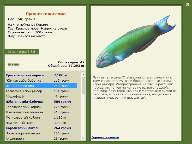 турниры • РУССКАЯ РЫБАЛКА