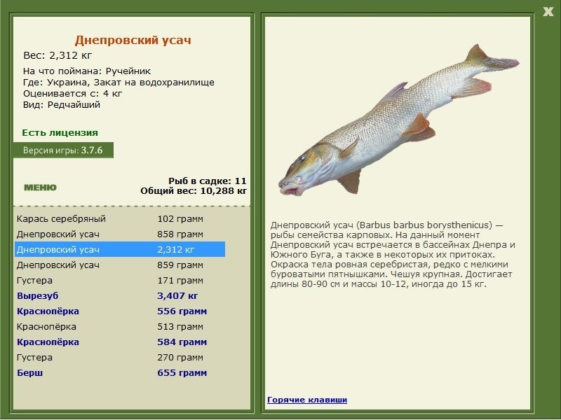 турниры • РУССКАЯ РЫБАЛКА