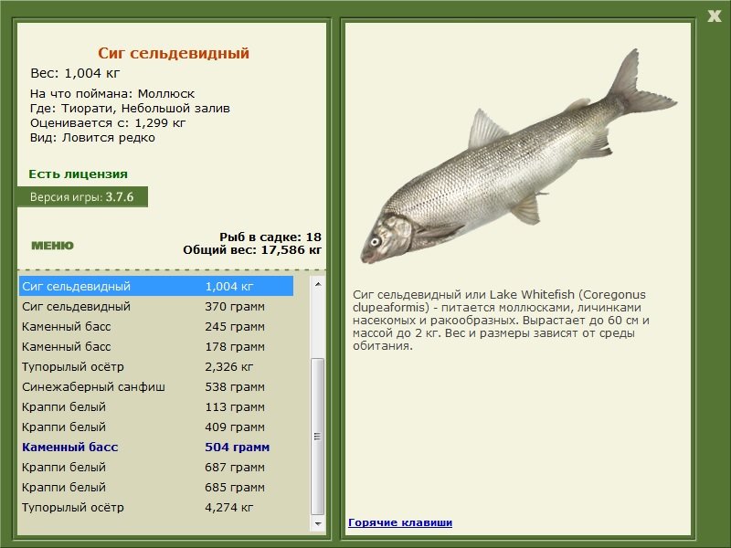 РУССКАЯ РЫБАЛКА Installsoft Edition 