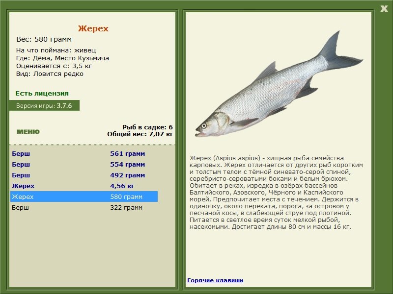 турниры • РУССКАЯ РЫБАЛКА