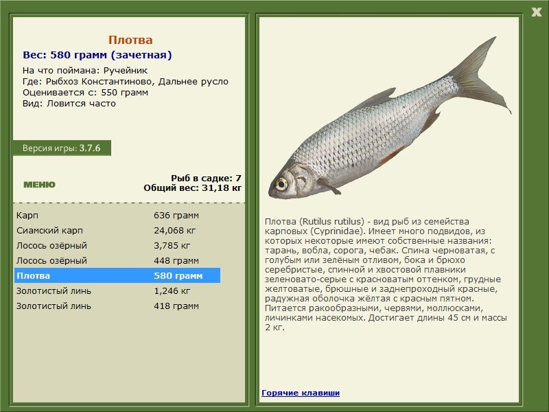 РУССКАЯ РЫБАЛКА Installsoft Edition 