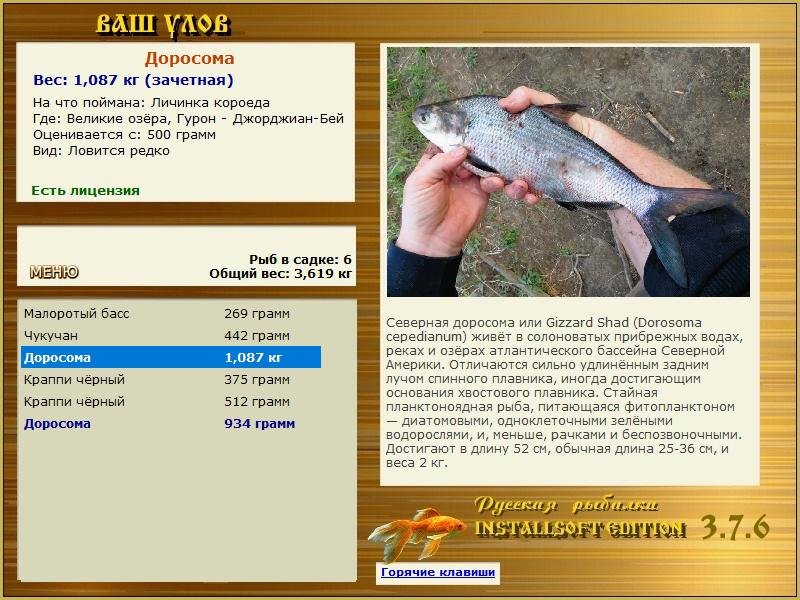 РУССКАЯ РЫБАЛКА Installsoft Edition 