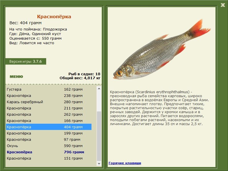 РУССКАЯ РЫБАЛКА Installsoft Edition 