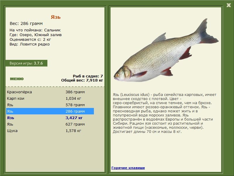 РУССКАЯ РЫБАЛКА Installsoft Edition 