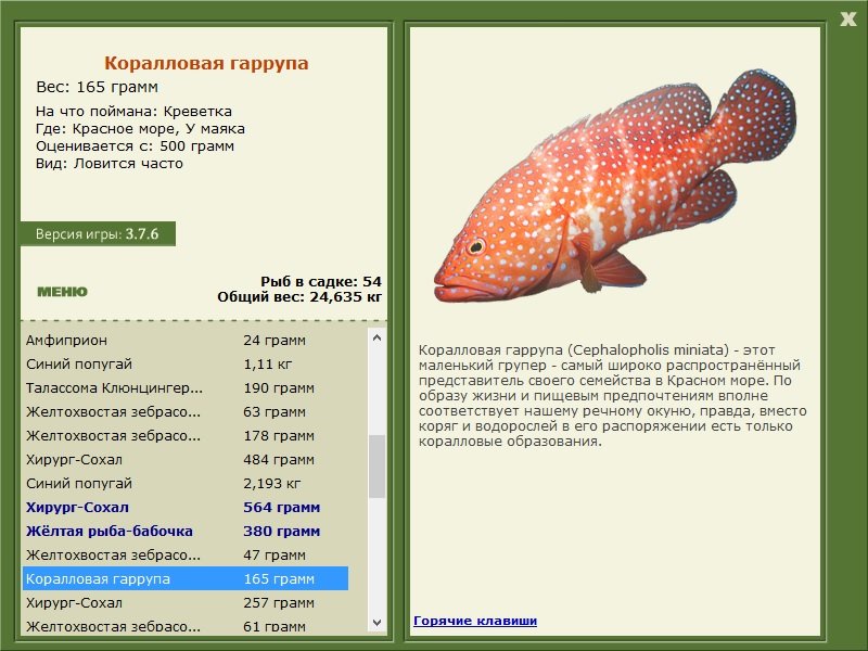турниры • РУССКАЯ РЫБАЛКА