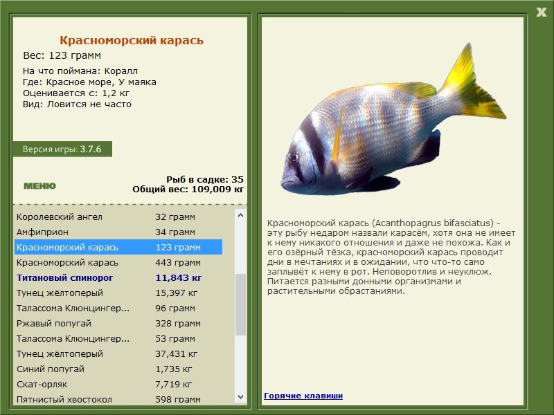 турниры • РУССКАЯ РЫБАЛКА