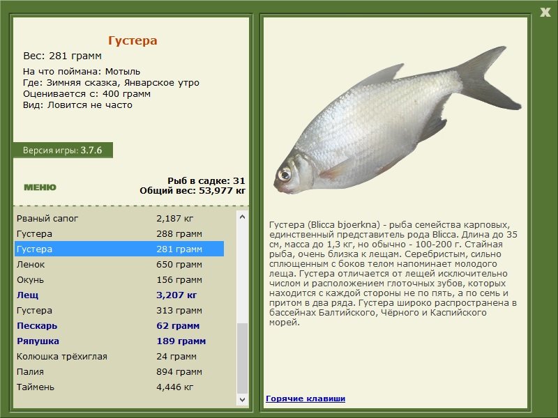 турниры • РУССКАЯ РЫБАЛКА