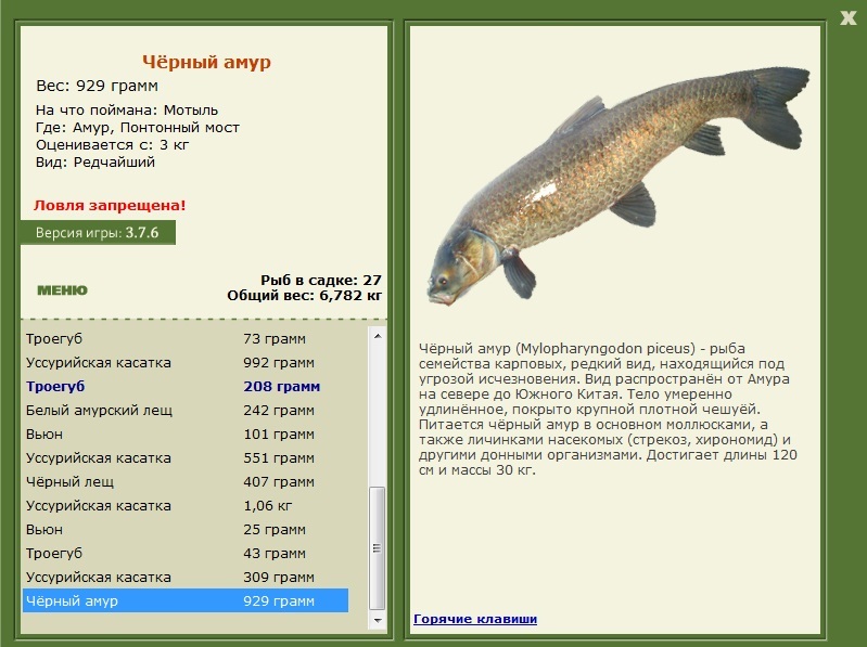 турниры • РУССКАЯ РЫБАЛКА