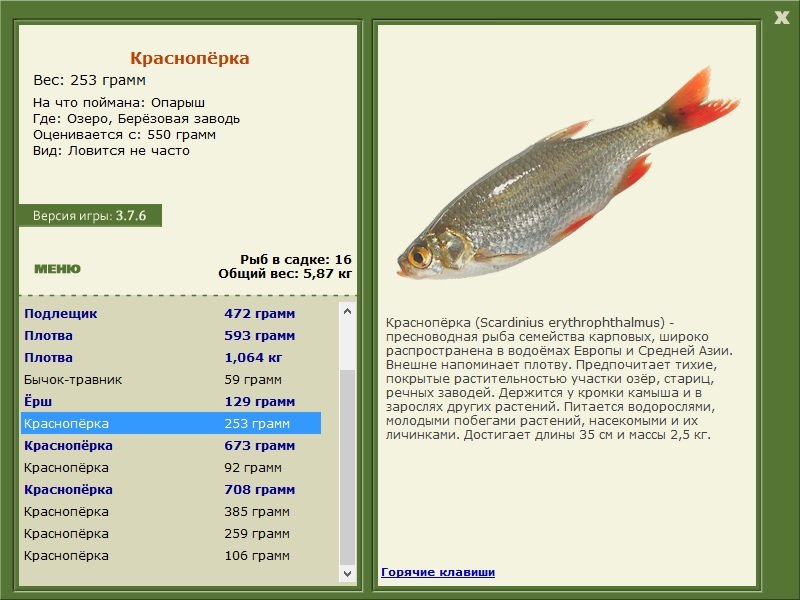 РУССКАЯ РЫБАЛКА Installsoft Edition 