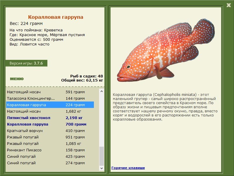 турниры • РУССКАЯ РЫБАЛКА