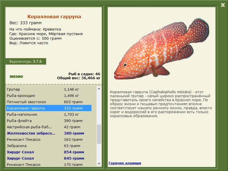 турниры • РУССКАЯ РЫБАЛКА