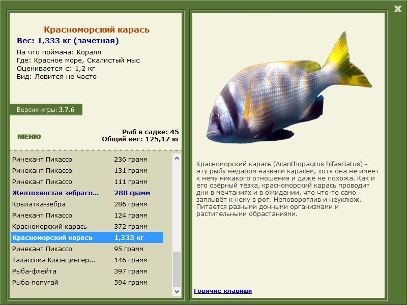 РУССКАЯ РЫБАЛКА Installsoft Edition 