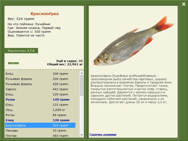турниры • РУССКАЯ РЫБАЛКА