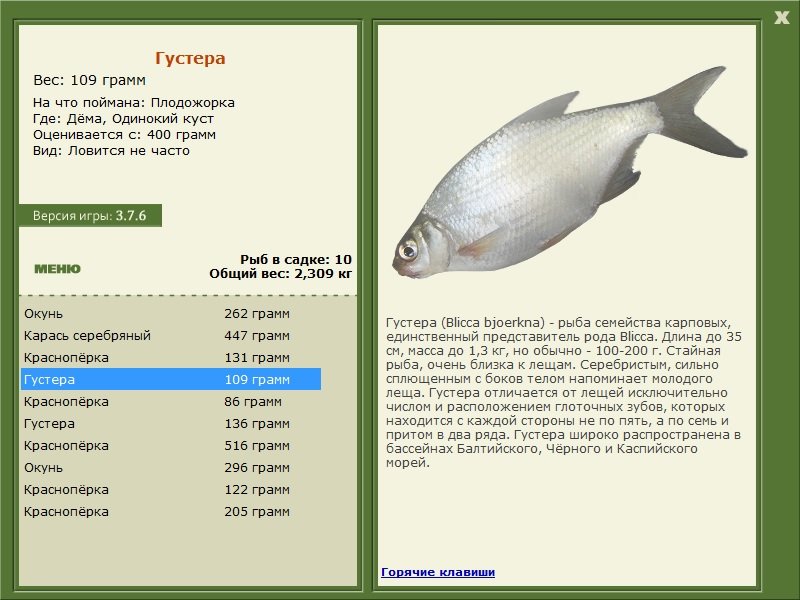 РУССКАЯ РЫБАЛКА Installsoft Edition 