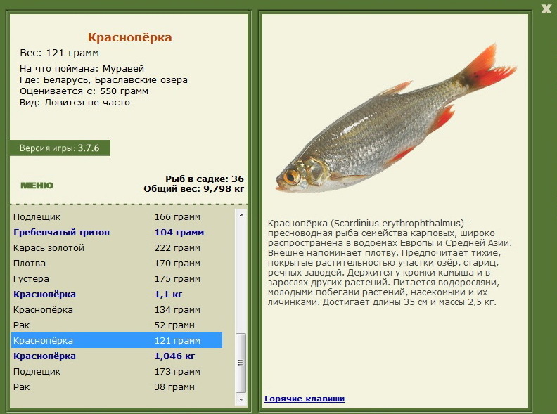 турниры • РУССКАЯ РЫБАЛКА