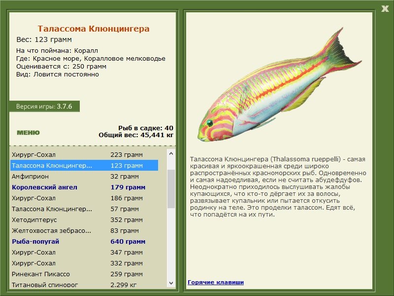 турниры • РУССКАЯ РЫБАЛКА