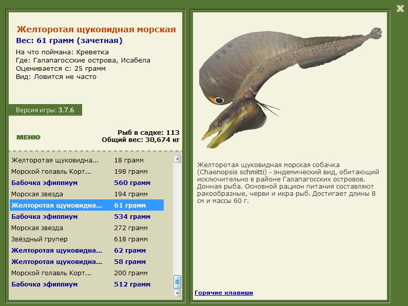 Исабела 