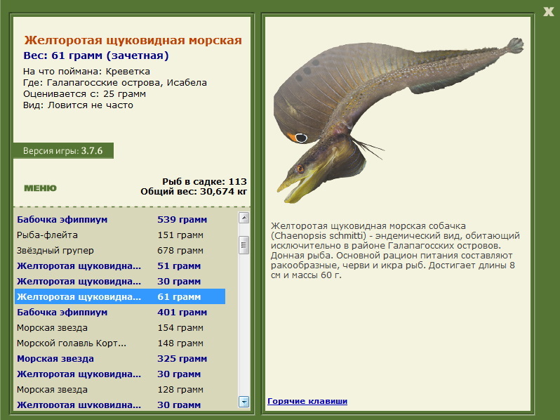 Исабела 
