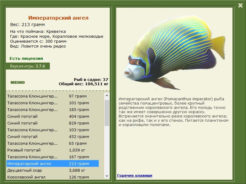 турниры • РУССКАЯ РЫБАЛКА