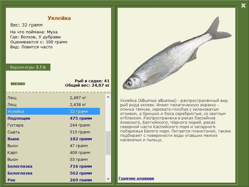 турниры • РУССКАЯ РЫБАЛКА