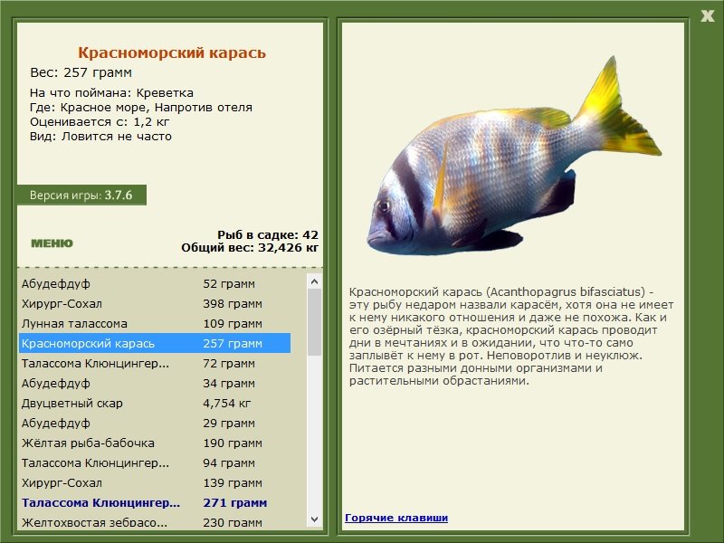 турниры • РУССКАЯ РЫБАЛКА