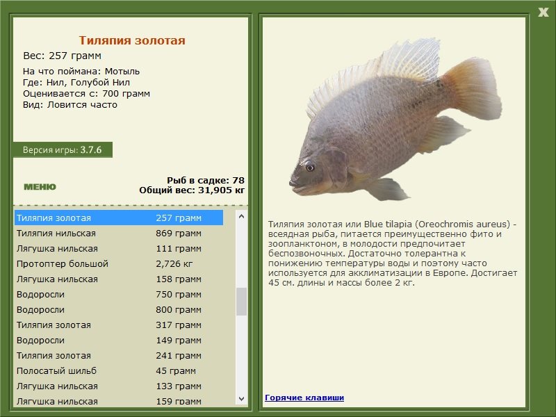 турниры • РУССКАЯ РЫБАЛКА