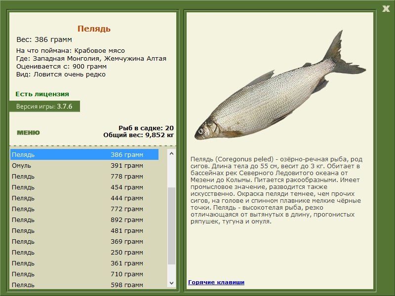 РУССКАЯ РЫБАЛКА Installsoft Edition 