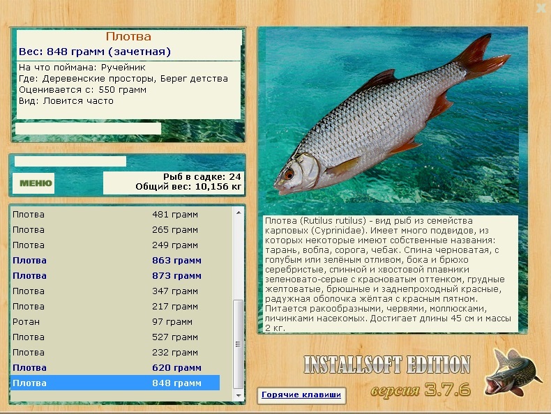 турниры • РУССКАЯ РЫБАЛКА