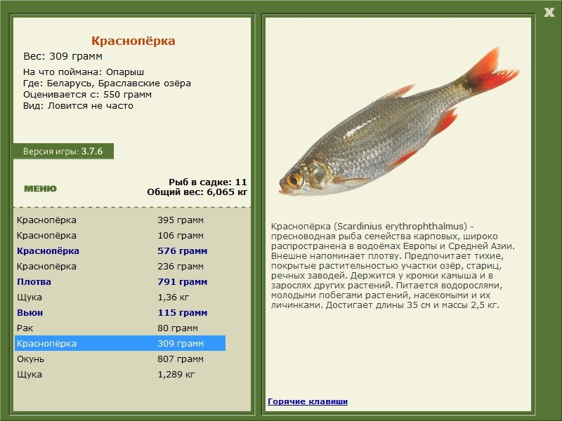 РУССКАЯ РЫБАЛКА Installsoft Edition 