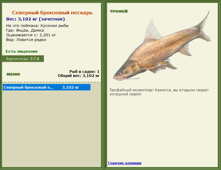 турниры • РУССКАЯ РЫБАЛКА