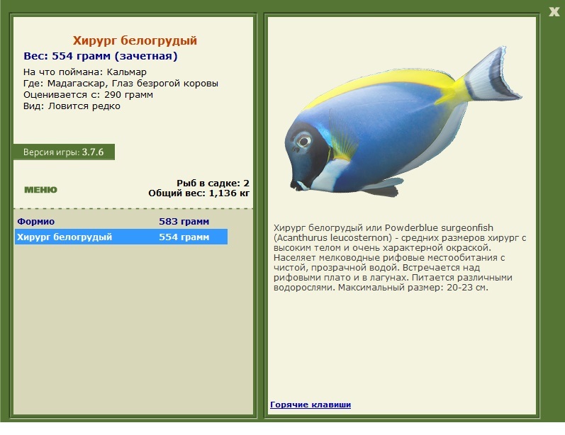 турниры • РУССКАЯ РЫБАЛКА