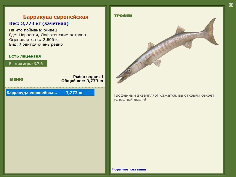 Барракуда европейская 