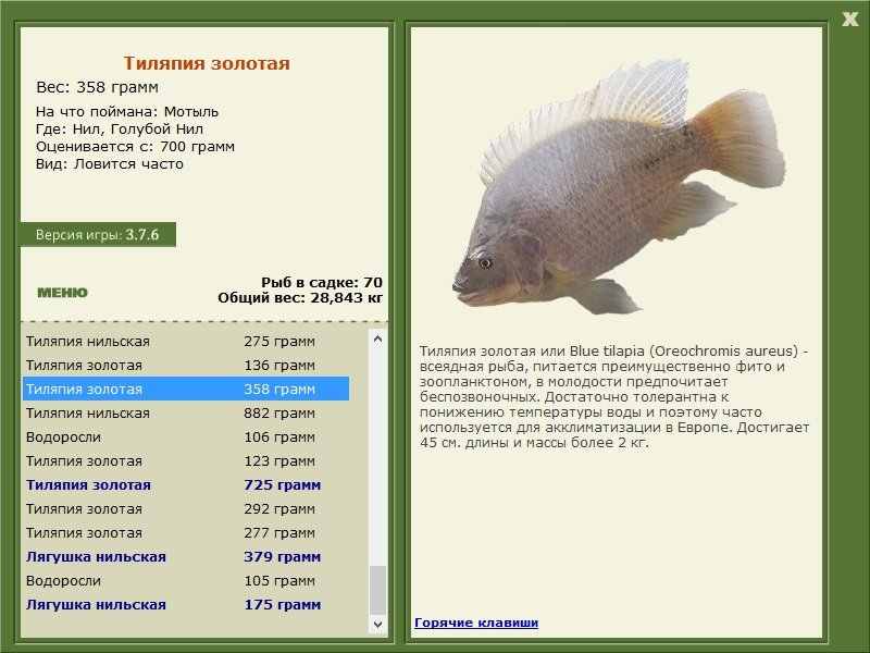 турниры • РУССКАЯ РЫБАЛКА