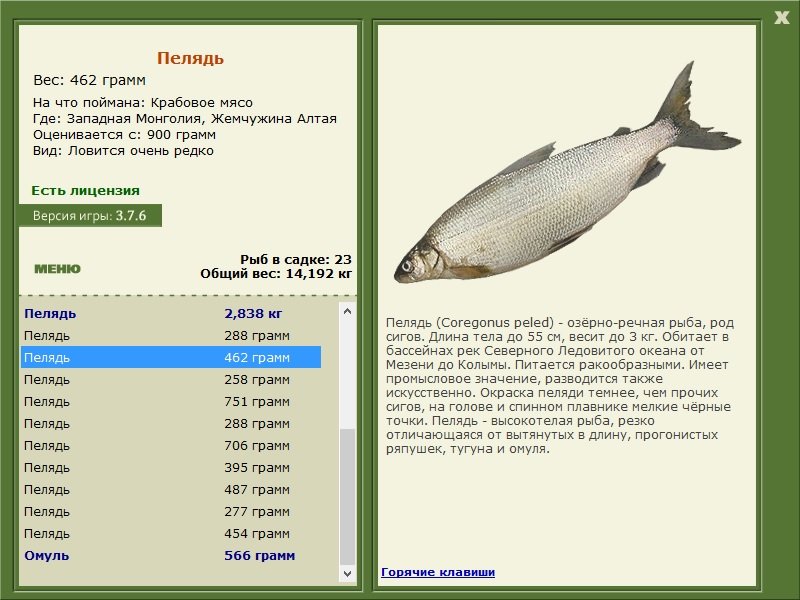 турниры • РУССКАЯ РЫБАЛКА