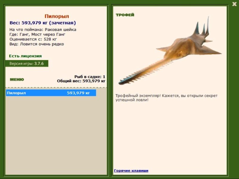 Пилорыл 
