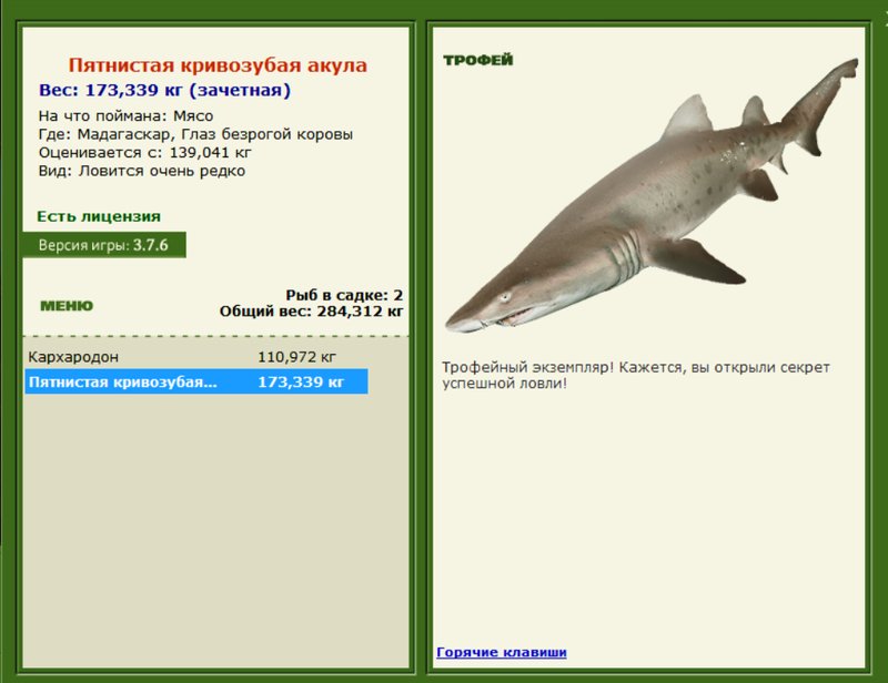 Пятнистая кривозубая акула 