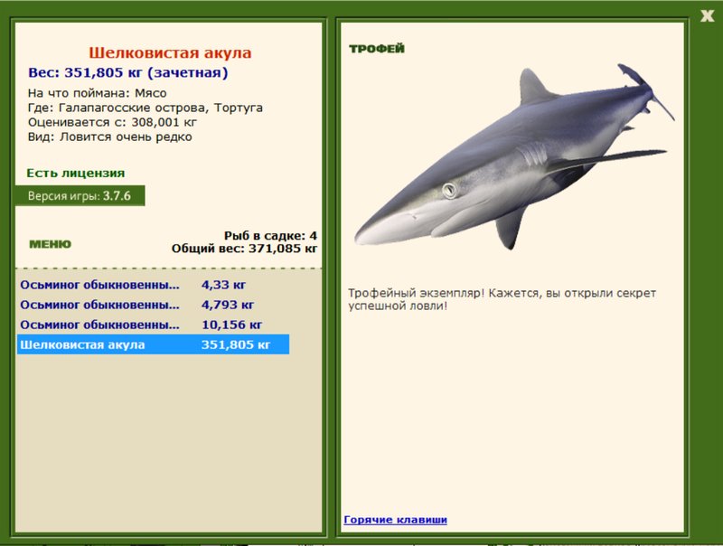 Шелковистая акула 
