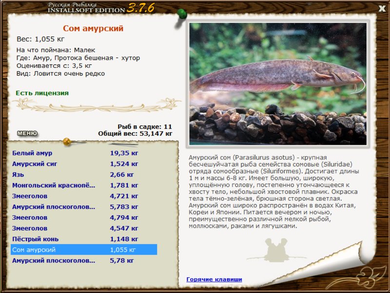 Амур 
