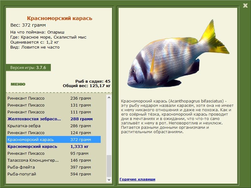 турниры • РУССКАЯ РЫБАЛКА