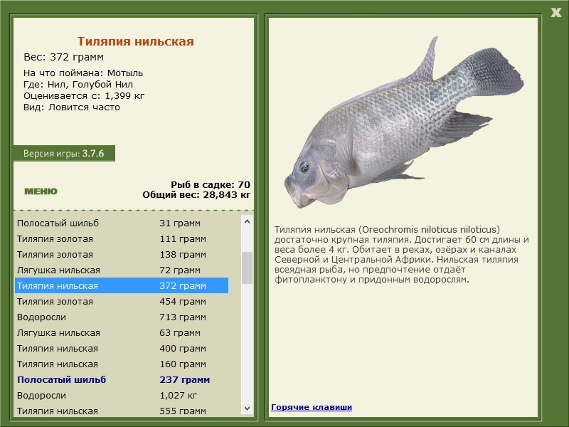 турниры • РУССКАЯ РЫБАЛКА
