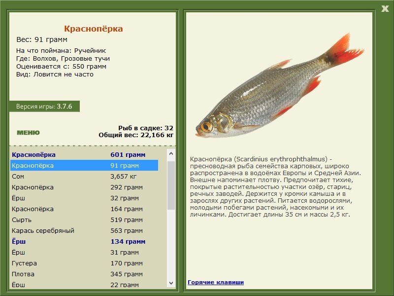турниры • РУССКАЯ РЫБАЛКА