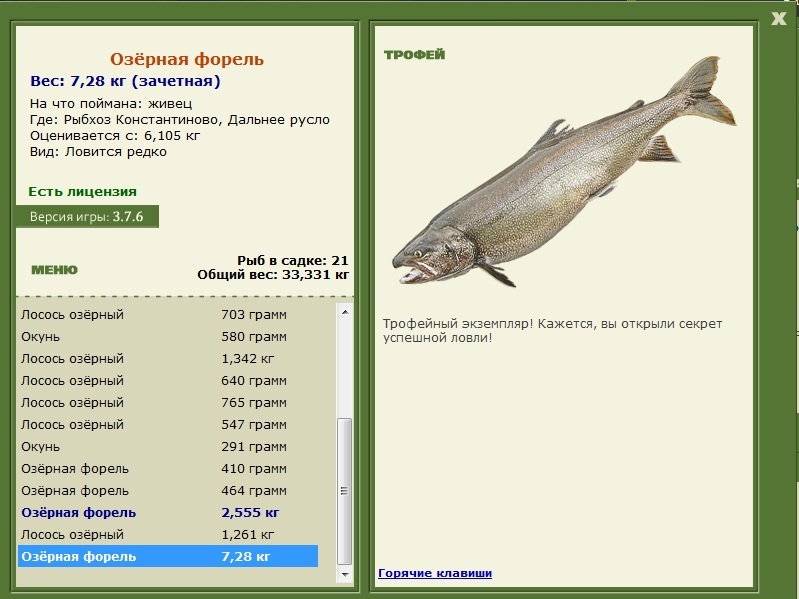 Дальнее русло 