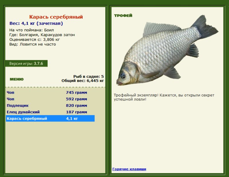 Карась серебряный 
