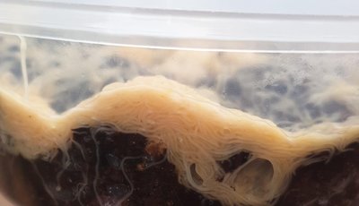  Редактировать сообщение