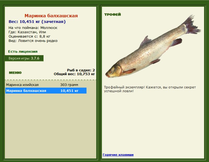 Маринка балхашская 