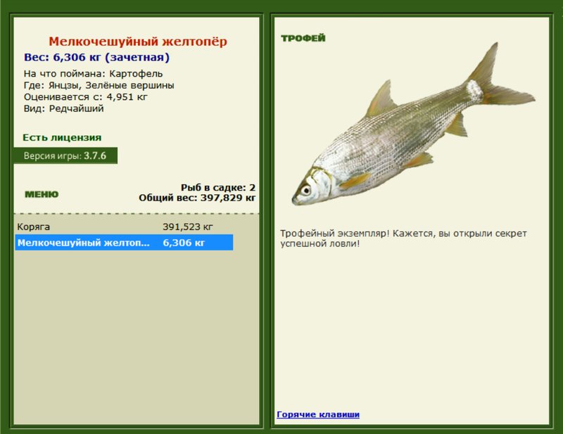 Мелкочешуйный желтопёр 