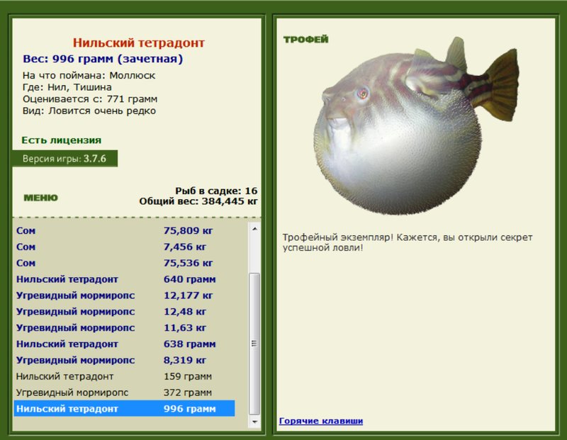 Нильский тетрадонт 