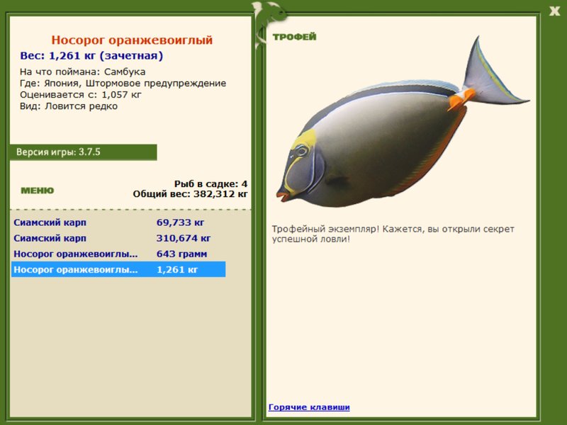 Носорог оранжевоиглый 